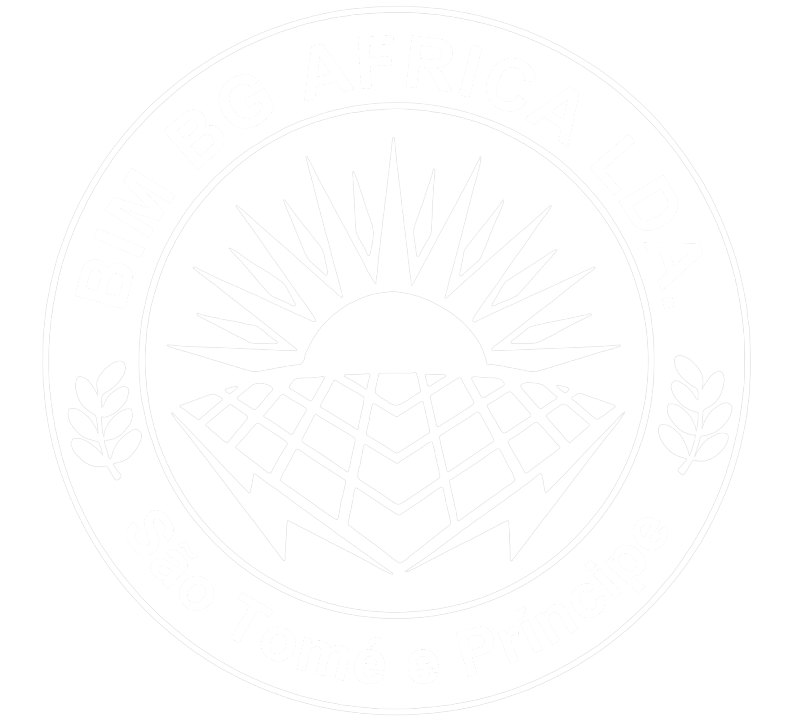 bimbg logo white